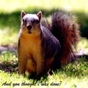 Kami Sharp - @KamiSharp2 - Twitter