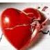nelson d vega (@nelsondvega) Twitter profile photo