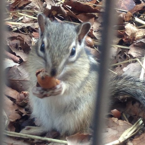 ikesiky's profile picture. 