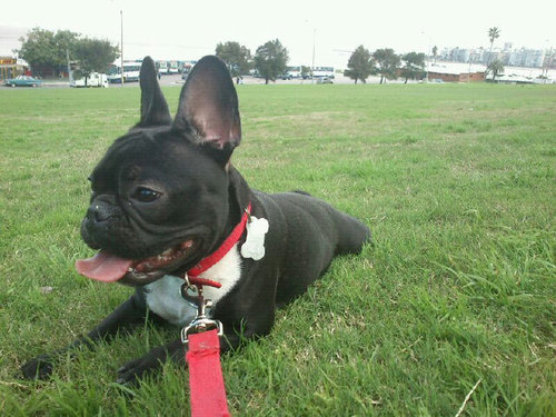 gdeprorey's profile picture. 