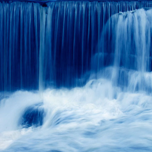 fortyshorty007's profile picture. 