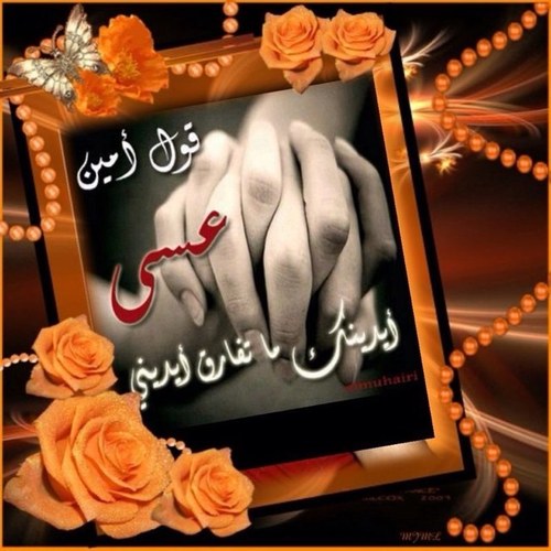 bozoooozoooo's profile picture. 