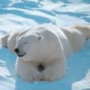 Frances Byers - @FrancesByers19 - Twitter