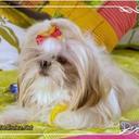 shirin patel - @shirinpatel7 - Twitter