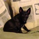 Gary Wetherington - @Gwetheri64 - Twitter