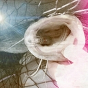 Jay Larsen - @larsemjjj - Twitter