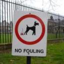 Clint Cook - @evsite01 - Twitter