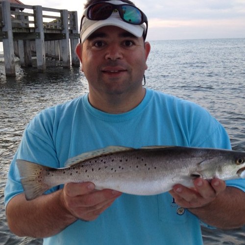 TonyFimiano's profile picture. I love God, my family, hunting and sports. University of Southern Miss Alumni. SMTTT!