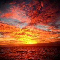 Jeanine V. (@leo62gem64) 's Twitter Profile