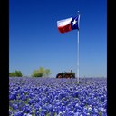 Shari Stephens - @Shari18Shari - Twitter