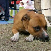 martin (@martinnu) 's Twitter Profile