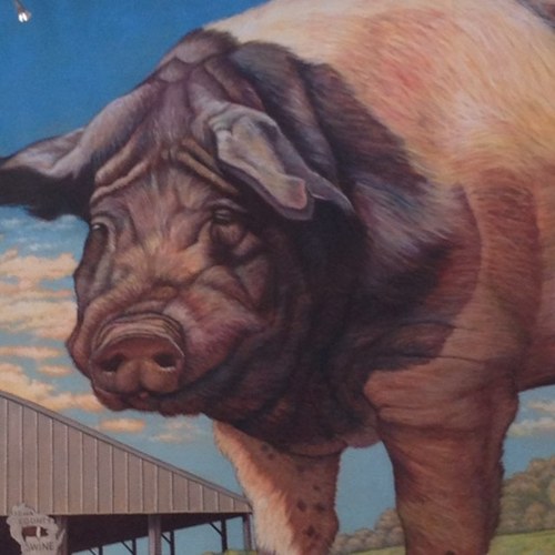 WOWSPACE1's profile picture. Home to art shows, concerts, craft fairs, wreath making, etc...