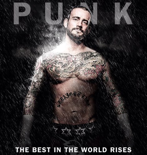 Team_CmPunkWWE's profile picture. WARNING: This is NOT the real Cm Punk!! 
TEAM CM PUNK! CM PUNK IS THE BEST IN THE WORLD