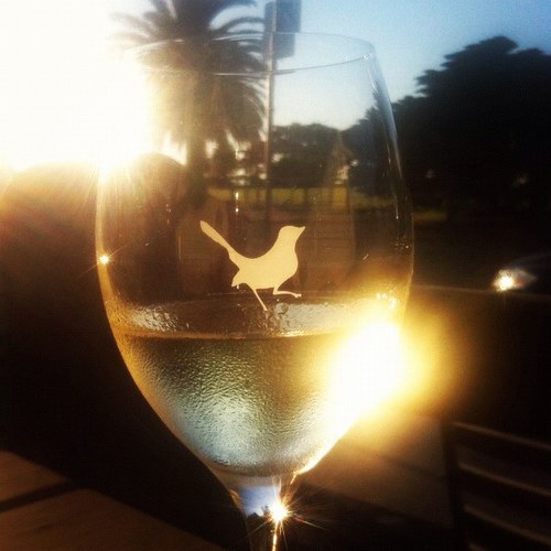 Sessionable1's profile picture. 