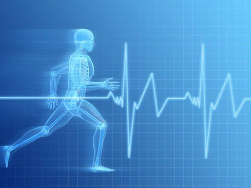 Physical Therapist with 18 years of experince treating athletes of all ages. Cert. Soccer and baseball coach. Member APTA orthopedic and sports sections.
