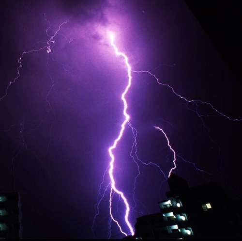 areyou_z's profile picture. 俺一号