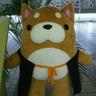 sunkujira_lib's profile picture. 現在、学校司書の仕事をしています。前職は公共図書館職員。