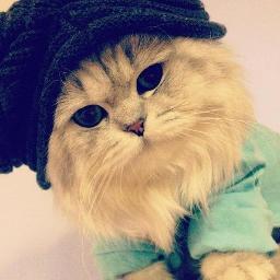 ppPU_Repp's profile picture. i love 3 all anime and art.