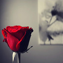 تمنيتكک لي ♥ (@22Memo0o) Twitter