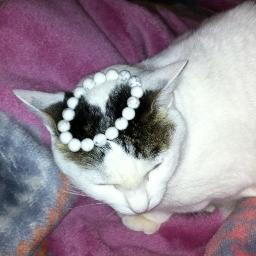 me00we's profile picture. 世の中コロナだとしてもよくなること願う 悪くなっては駄目