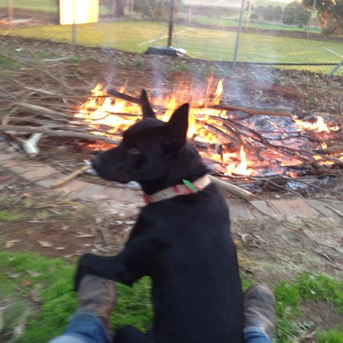 VaterRick's profile picture. Just living off the land