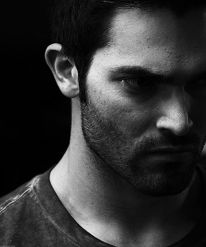 Derek Hale. I'm the alpha. bother me and you won't see tomorrow. taken by @NoahStilinski //TW.RP//