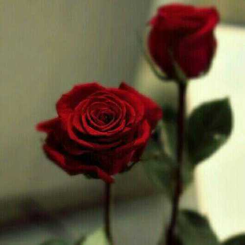 كرماء جداً ، من يبتسمون دائماً ..♡