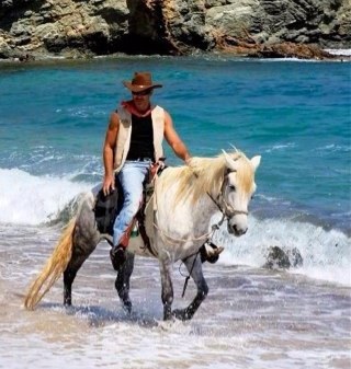 We are an equestrian centre in Mykonos,Greece.We are doing trail rides,lessons,carriage events and more!