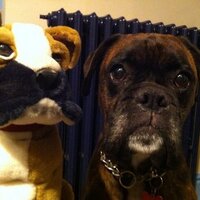 Fifi Legoland (@fifilegoland) 's Twitter Profile