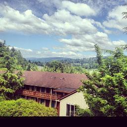 55Albandari's profile picture. (القناعة كنز لا يفنى)