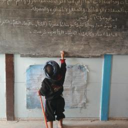شاعر وقاص