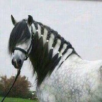 جنوبيـﮧ ولـي الفخـږ♥ (@zoozy28) Twitter profile photo