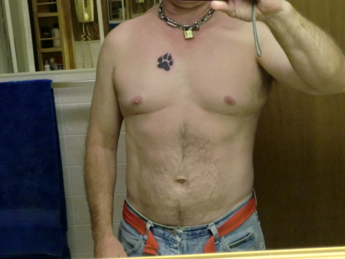 Pup, Furry, Sub, & Coder. Its been a long tough life. But I have had some amazing friends. I have my own house, land, and workshop. Renter/companion wanted.