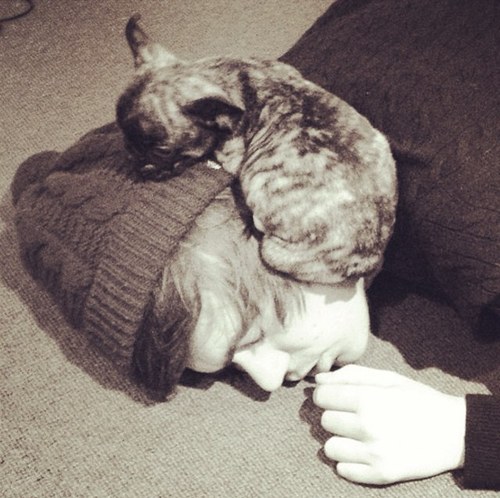 My name is chelsea and please Follow @EmmaKnoxJ i promised her i would help get a tweet off franks:*