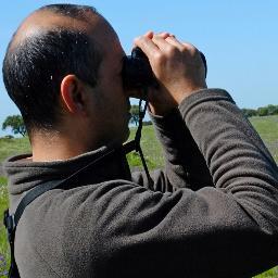 Birdwatching Tours in Évora, Alentejo, Portugal
Observação de aves em Évora, Alentejo e arredores.