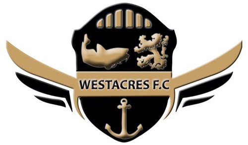 Sunday league team based in newcastle play in the north east sunday league just promoted to 'd' division.