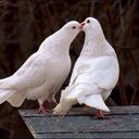 . (@01_300) Twitter