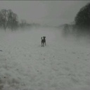 Jenny Langley - @JennyLangley15 - Twitter