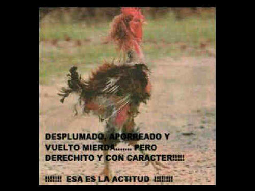 tabarato001's profile picture. Venezolano. Maracayaro tigrero .Costarricense  Naturalizado. Odontologo en Venezuela 1990 con equiparacion en Costa Rica 2011.