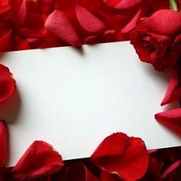 soledad121g's profile picture. 