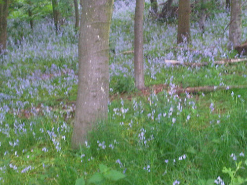 TINAROSELONDON's profile picture. Summer Is nearly here