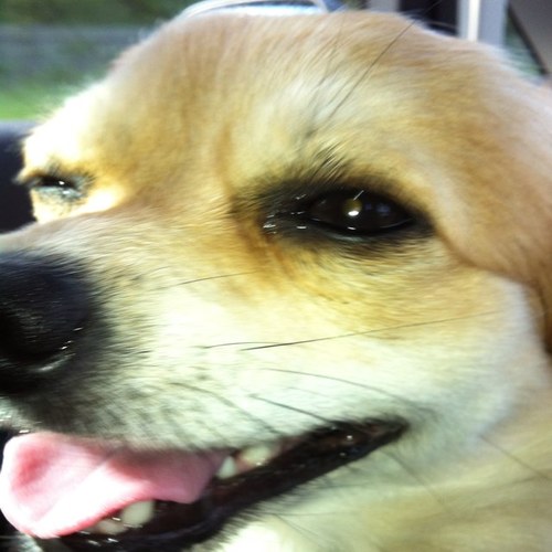 DebOwen's profile picture. Librarian living in Chester and working in Wales - views are my own