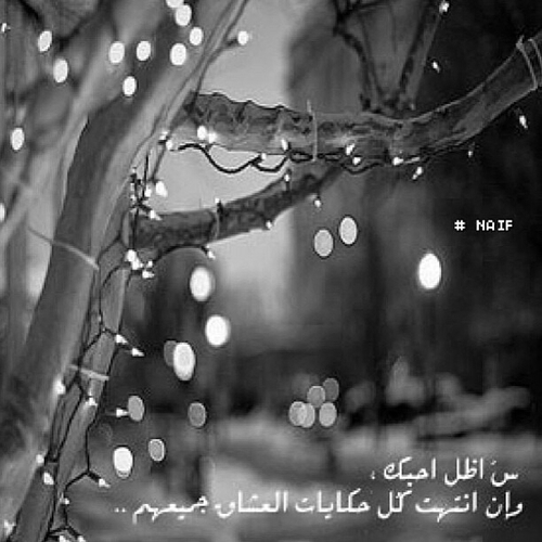 أنثى العقرب ليست كباقي النساء 
لا حدود لأحلامي أكره العادات و التقاليد أحب التصوير الفوتوغرافي وأطمح للاحتراف رغم الصعوبات
تابعوني على الانستقرام @moonyal_murry
