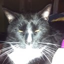 Sherri Mackey - @SaMackey135 - Twitter