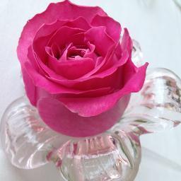 I love cosme♥beauty♥travel♥gourmet♥photo etc フォロワー募集中です♪フォロー返します♪♪♪ インスタグラムもしています✨ ブログ↓