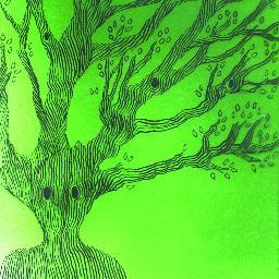 indi_anna's profile picture. my brain is a bomb ready to explode