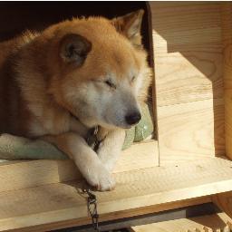 mdreams1's profile picture. 好きな事・物・・空（虹・星・月・夕日・夕焼け・雲）岩手山・海・野花・動物・写真・コーヒー・料理（和食・パスタを含め麺類)・パン・音楽（フォークソング・ボサノバ・ジャズ）30年ぶりのギター・吹き始めのティナーサックス・読書（特に時代小説・藤沢周平）　盛岡ー旧都南村－東京ー盛岡ー久慈　気長によろしくです。