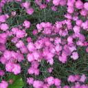 Regina Mason Stahl - @regstahl - Twitter