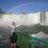 Jo_Pugh88's profile image
