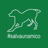 magister_ed's profile picture. La Satira può essere come una Valvola: esaurita o efficiente.
O nella Terra di nessuno.
Per saperlo? Basta solo premere il pulsante.. Quello che inizia con 'T'